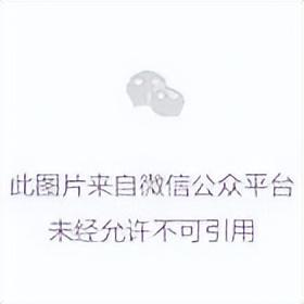 视频插入小技巧学会了,PPT瞬间高大上!赶紧点击学习吧!