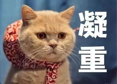 微信转账后被拉黑？如何追回被骗的钱！