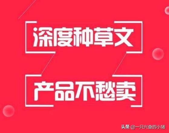 小红书打造爆款笔记的13个技巧