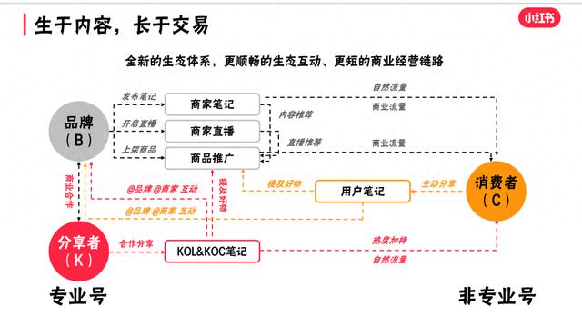 如何用小红书种草，打造餐饮品牌？