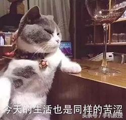 如何快速注销微信微博等21款热门APP：详细步骤一网打尽