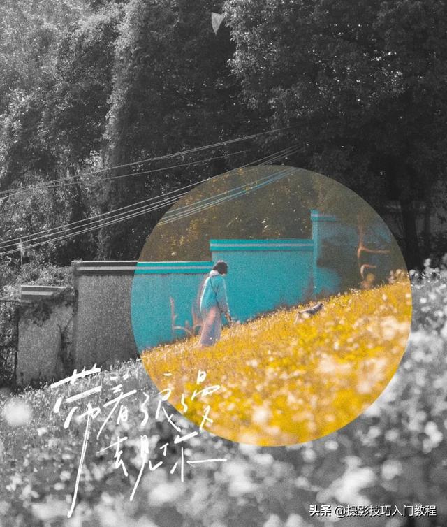 后期修图技巧：如何为照片的局部区域调整色彩？