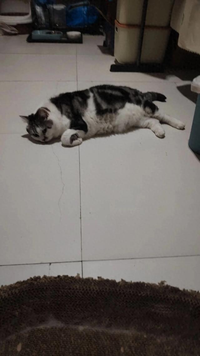 拼多多商家遭遇恶意差评如何处理？