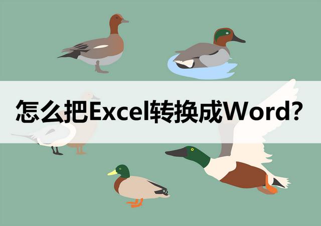 如何将Excel转换为Word文档：一分钟学会