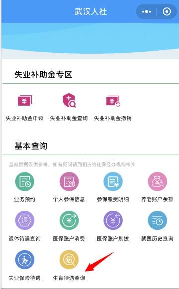 通过支付宝或微信查询个人生育保险待遇，操作指南来了!