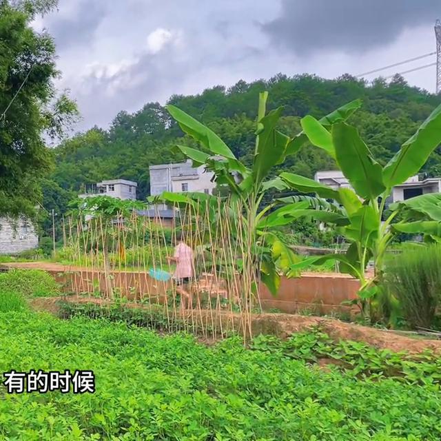 删除重发视频对流量的影响有多大？