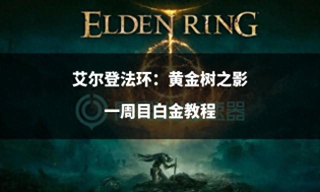艾尔登法环：黄金树之影一周目白金教程指南