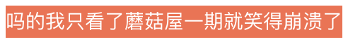 男团综艺：张远王栎鑫大爆料，选秀真兄弟关系曝光