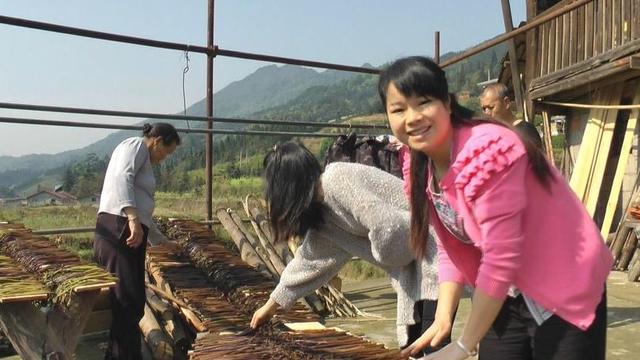 乡村生活的魅力：197万人的见证