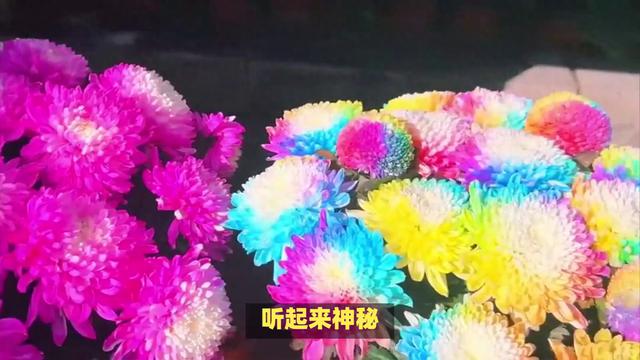 化学实验新手指南：探索物质世界的正确方式