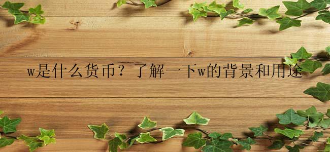 w是什么货币？了解一下w的背景和用途