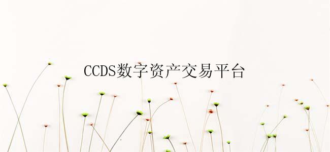 CCDS数字资产交易平台
