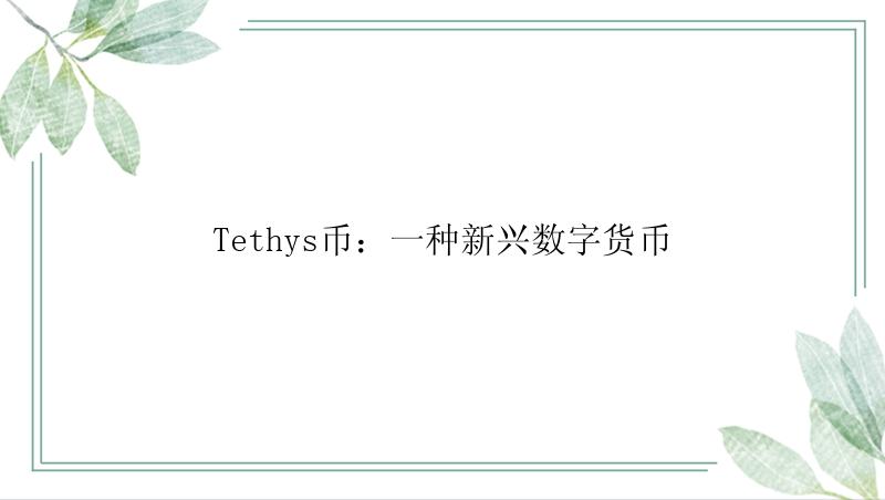 Tethys币：一种新兴数字货币