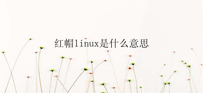 红帽linux是什么意思