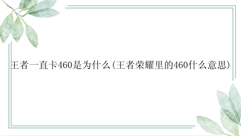 王者一直卡460是为什么(王者荣耀里的460什么意思)