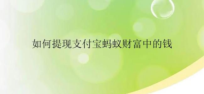 如何提现支付宝蚂蚁财富中的钱