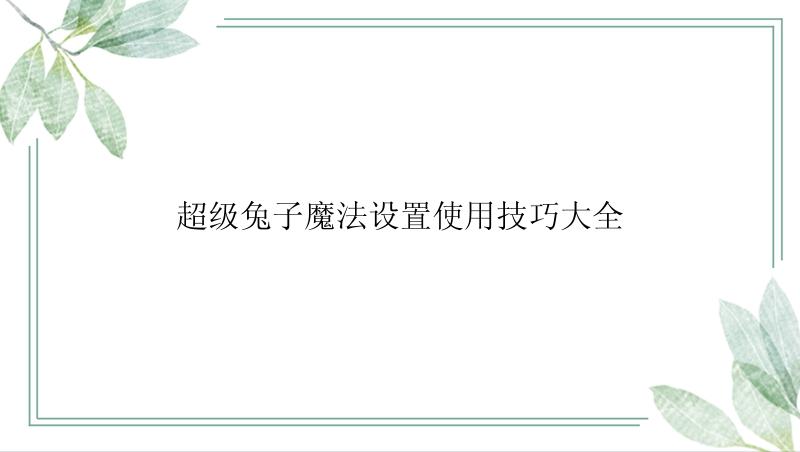 超级兔子魔法设置使用技巧大全