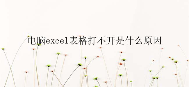 电脑excel表格打不开是什么原因