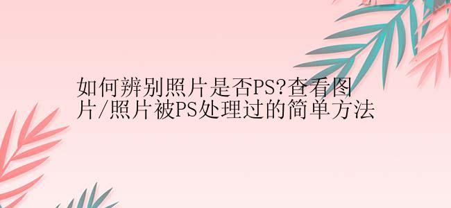 如何辨别照片是否PS?查看图片/照片被PS处理过的简单方法