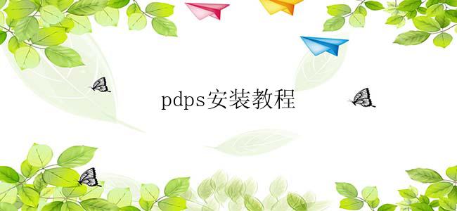 pdps安装教程