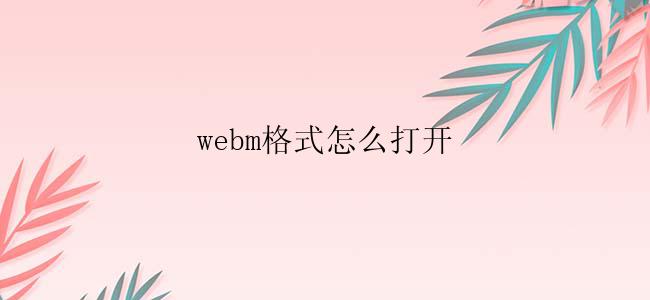 webm格式怎么打开