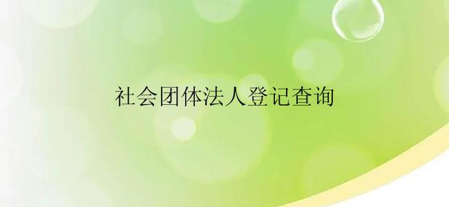 社会团体法人登记查询