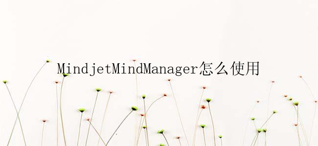 MindjetMindManager怎么使用