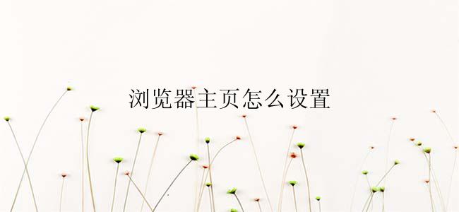 浏览器主页怎么设置