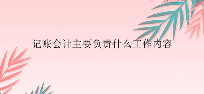 记账会计主要负责什么工作内容