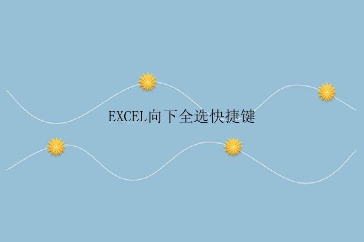 EXCEL向下全选快捷键