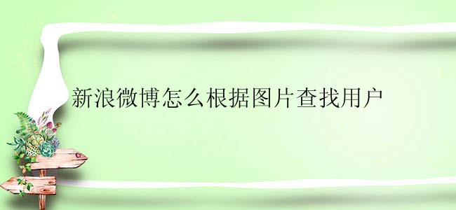 新浪微博怎么根据图片查找用户