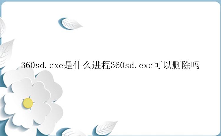 360sd.exe是什么进程360sd.exe可以删除吗