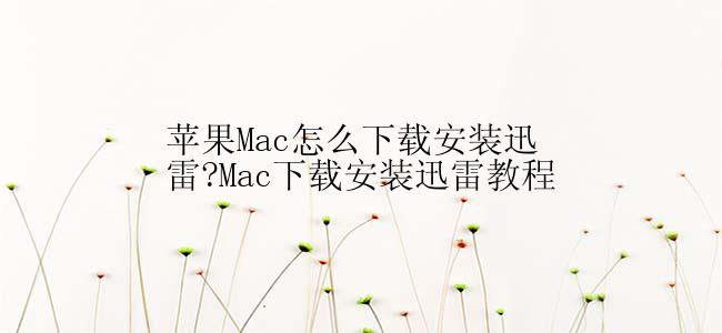 苹果Mac怎么下载安装迅雷?Mac下载安装迅雷教程