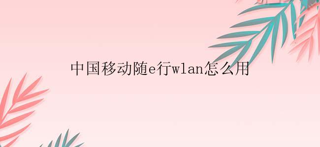 中国移动随e行wlan怎么用