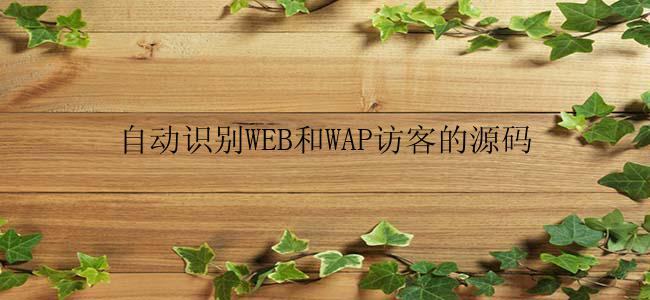 自动识别WEB和WAP访客的源码