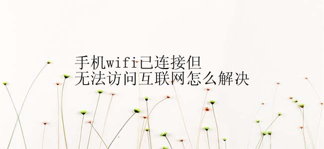 手机wifi已连接但无法访问互联网怎么解决