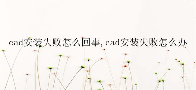 cad安装失败怎么回事,cad安装失败怎么办