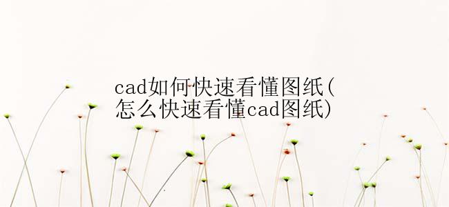 cad如何快速看懂图纸(怎么快速看懂cad图纸)