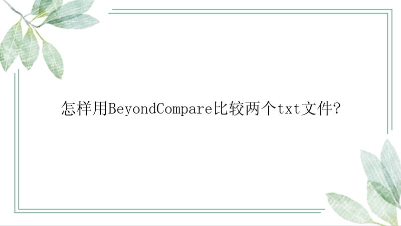 怎样用BeyondCompare比较两个txt文件?