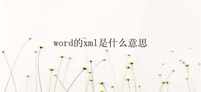 word的xml是什么意思
