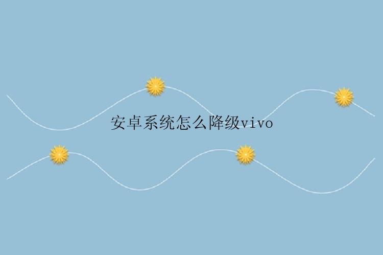 安卓系统怎么降级vivo