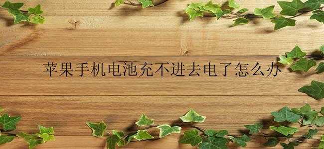 苹果手机电池充不进去电了怎么办