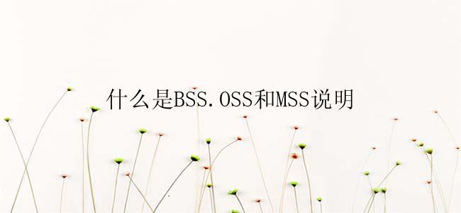 什么是BSS.OSS和MSS说明