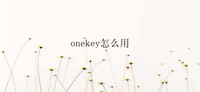 onekey怎么用