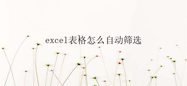 excel表格怎么自动筛选