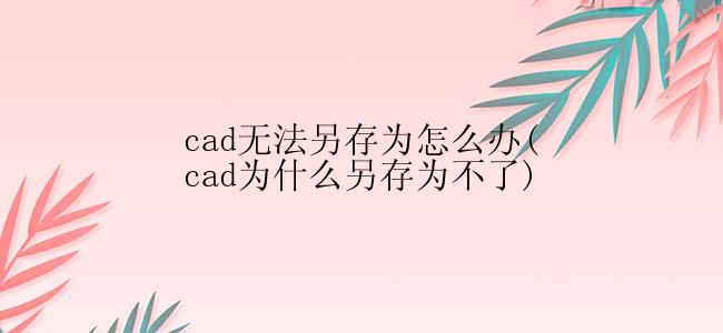 cad无法另存为怎么办(cad为什么另存为不了)