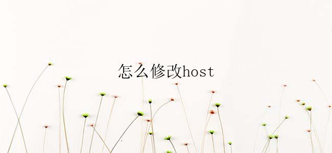 怎么修改host