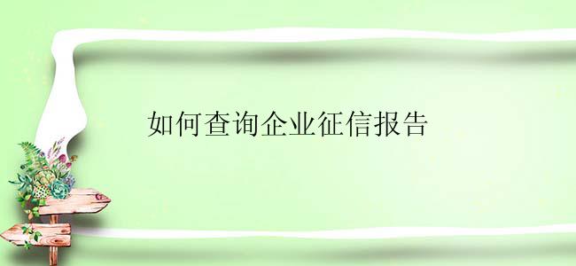 如何查询企业征信报告