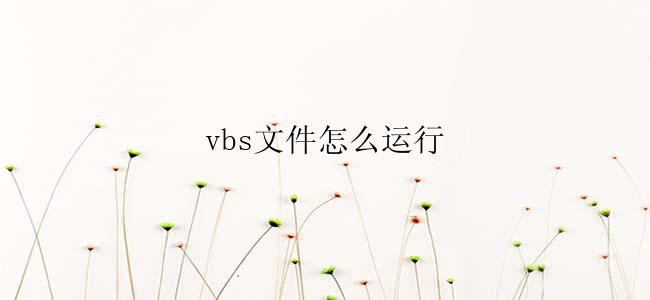 vbs文件怎么运行