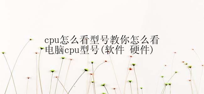 cpu怎么看型号教你怎么看电脑cpu型号(软件 硬件)